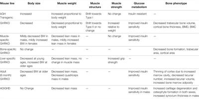 Musculoskeletal Effects of Altered GH Action